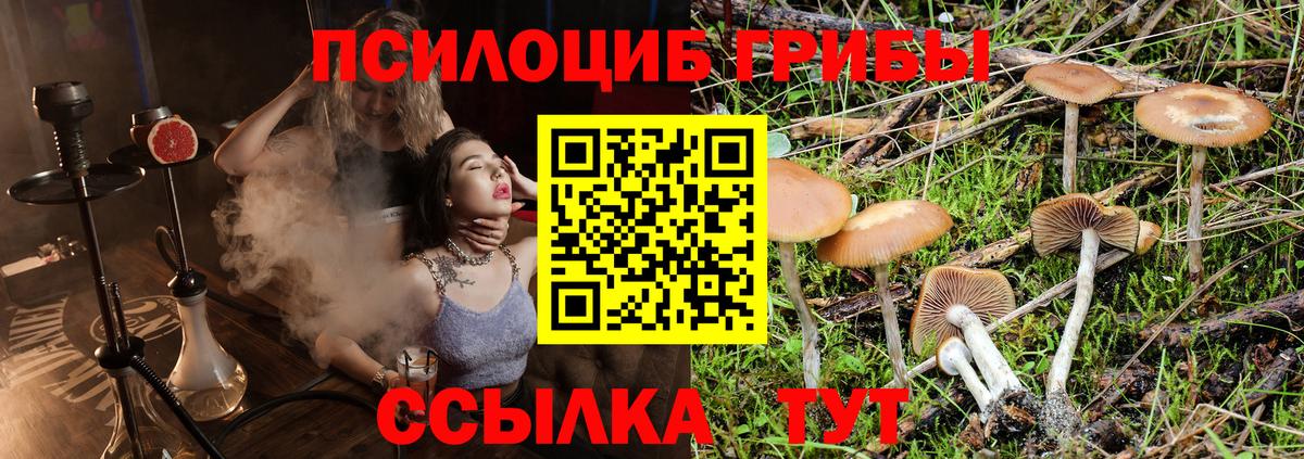 Солнечногорск  Псилоцибиновые грибы GOLDEN TEACHER  Вход с VPN 
